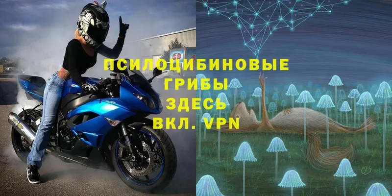 Галлюциногенные грибы MAGIC MUSHROOMS  Микунь 